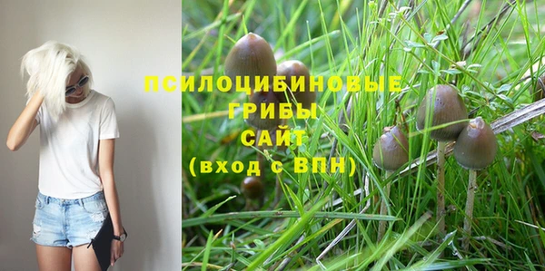 MDMA Premium VHQ Богородицк