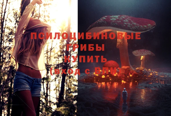 MDMA Premium VHQ Богородицк