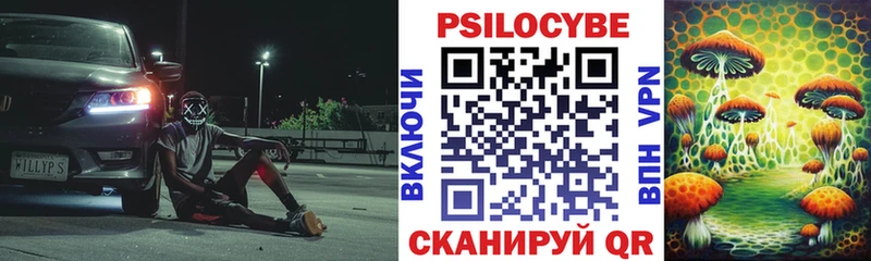 где продают   Далматово  Галлюциногенные грибы Magic Shrooms 